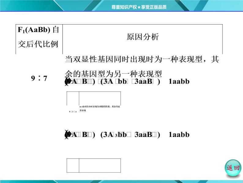 人教版必修2课件 第1章 第2节 小专题 大智慧 性状分离比偏离问题的分析03