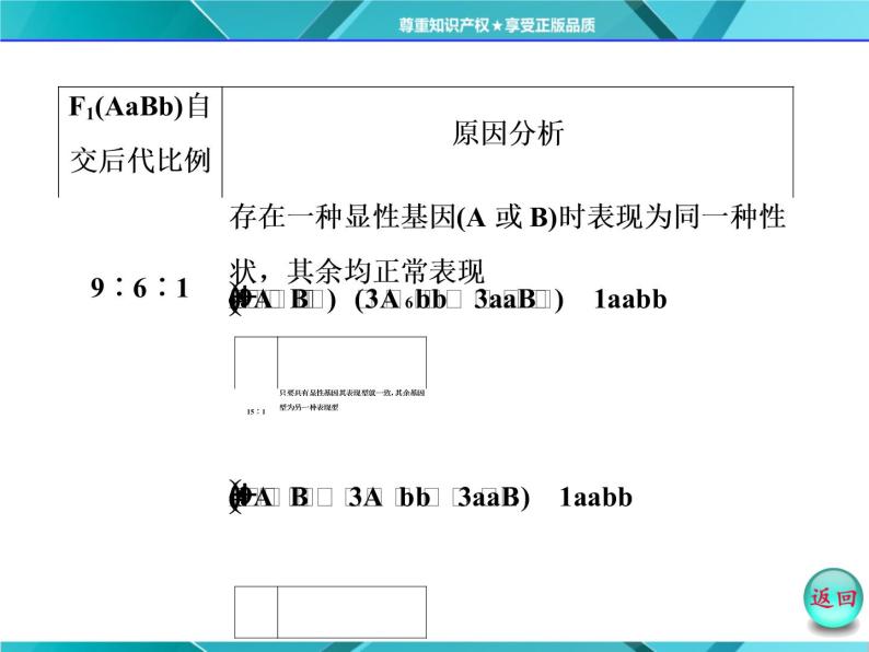 人教版必修2课件 第1章 第2节 小专题 大智慧 性状分离比偏离问题的分析04