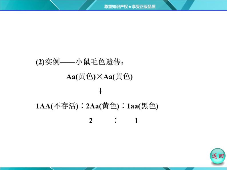 人教版必修2课件 第1章 第2节 小专题 大智慧 性状分离比偏离问题的分析08