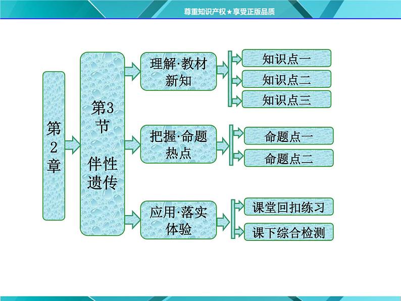 人教版必修2课件 第2章 第3节 伴性遗传第1页