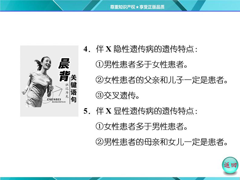人教版必修2课件 第2章 第3节 伴性遗传第3页