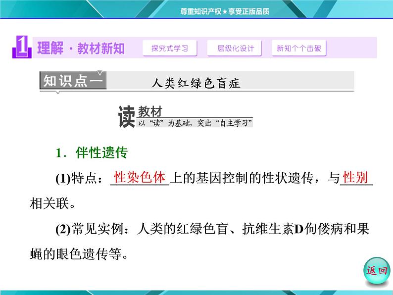 人教版必修2课件 第2章 第3节 伴性遗传第4页