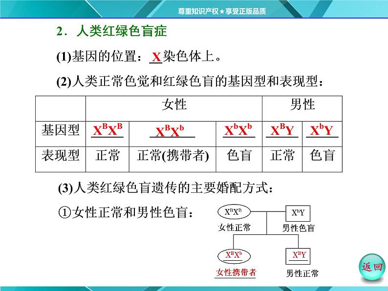 人教版必修2课件 第2章 第3节 伴性遗传第5页