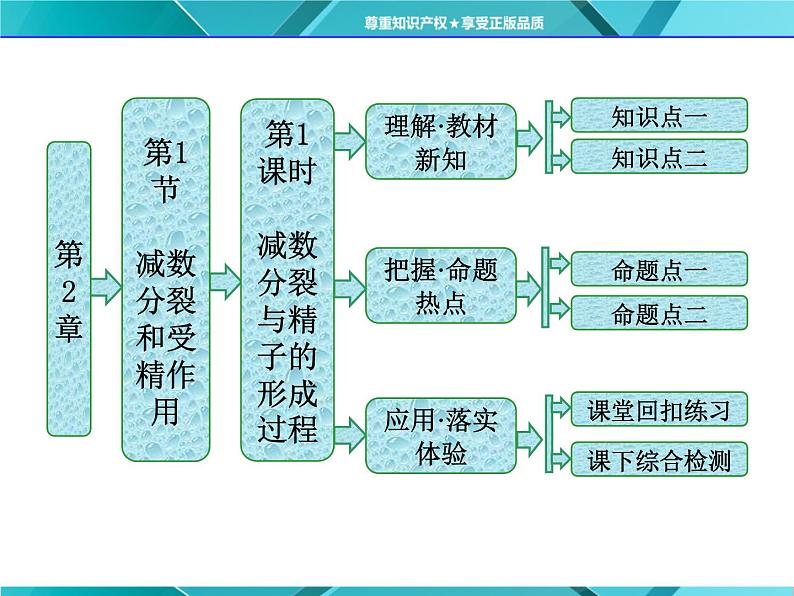人教版必修2课件 第2章 第1节 第1课时 减数分裂与精子的形成过程01