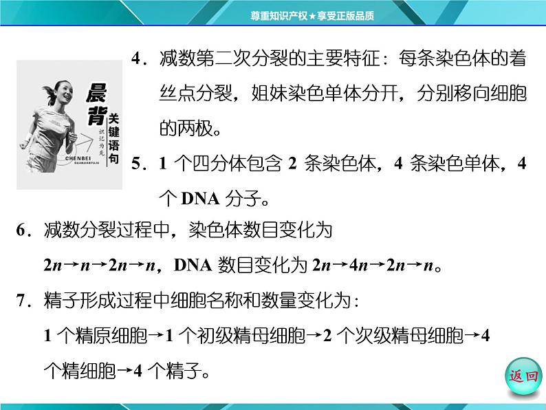 人教版必修2课件 第2章 第1节 第1课时 减数分裂与精子的形成过程03