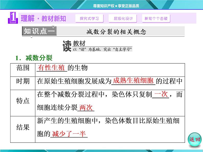 人教版必修2课件 第2章 第1节 第1课时 减数分裂与精子的形成过程04