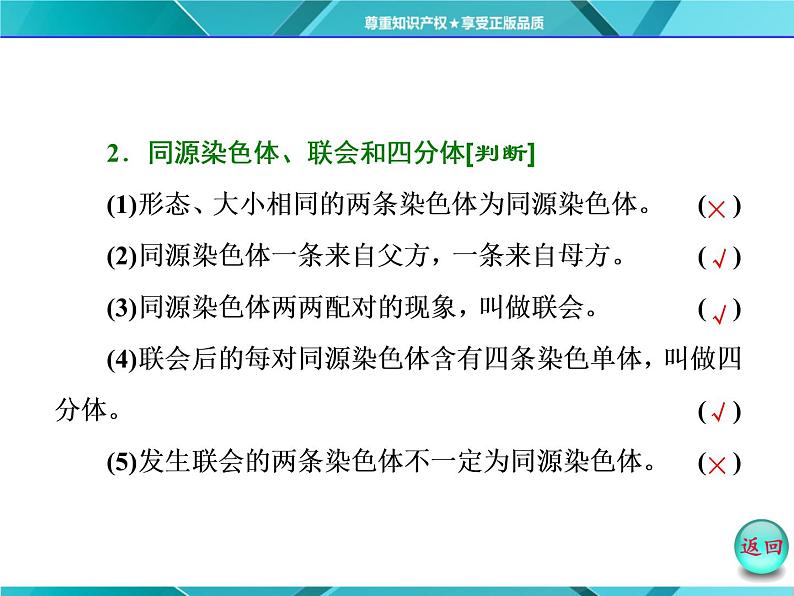 人教版必修2课件 第2章 第1节 第1课时 减数分裂与精子的形成过程05