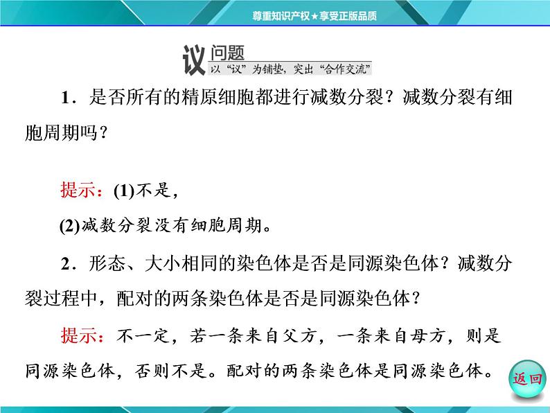 人教版必修2课件 第2章 第1节 第1课时 减数分裂与精子的形成过程06