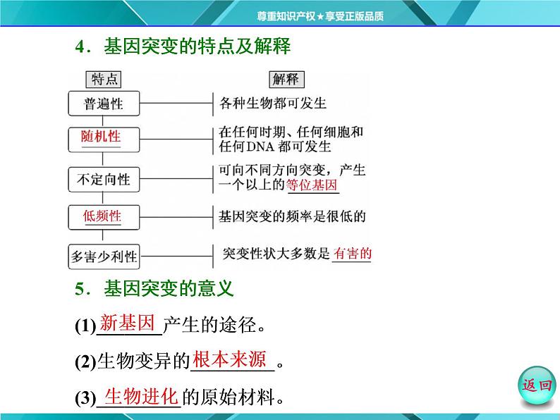 人教版必修2课件 第5章 第1节 基因突变和基因重组第6页