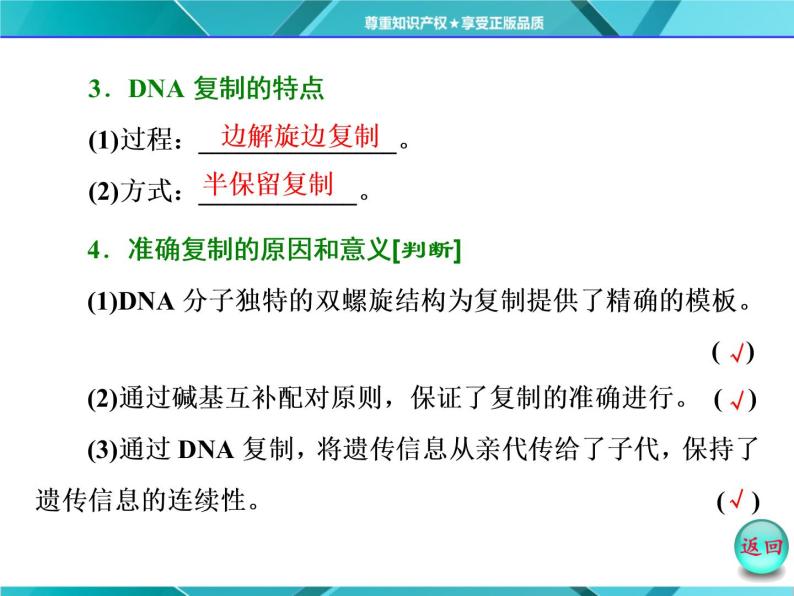 人教版必修2课件 第3章 第3、4节 DNA的复制 基因是有遗传效应的DNA片段05