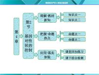 生物必修2《遗传与进化》第2节 基因对性状的控制授课课件ppt