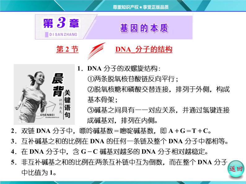 人教版必修2课件 第3章 第2节 DNA分子的结构02