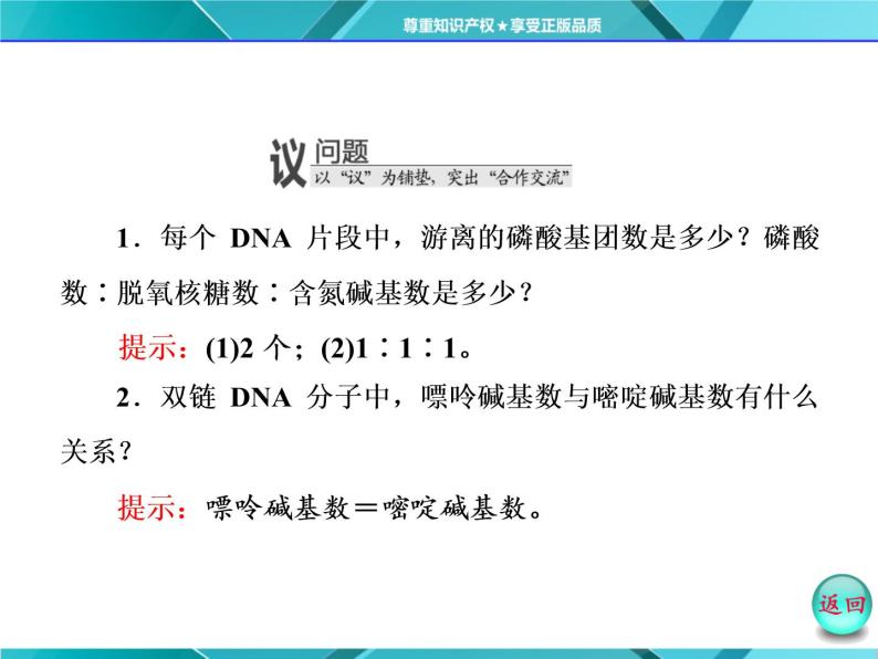 人教版必修2课件 第3章 第2节 DNA分子的结构08