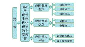 高中本节综合评课课件ppt