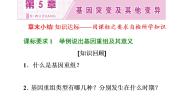 人教版 (新课标)必修2《遗传与进化》第五章 基因突变及其他变异综合与测试课文配套课件ppt