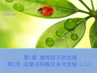 高中人教版生物必修2教学课件：1.2 孟德尔的豌豆杂交实验（二）2