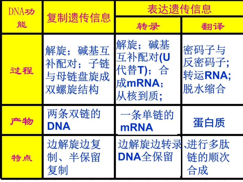 高中人教版生物必修2教学课件：4.2 基因对性状的控制1 Word版含答案02