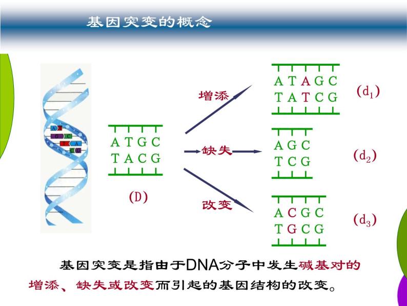 高中人教版生物必修2教学课件：5.1 基因突变和基因重组2 Word版含答案06