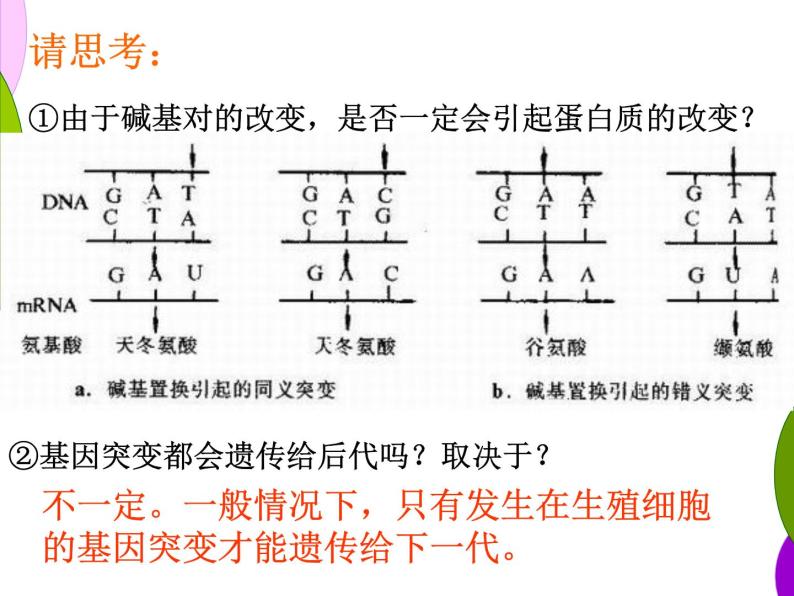 高中人教版生物必修2教学课件：5.1 基因突变和基因重组2 Word版含答案07