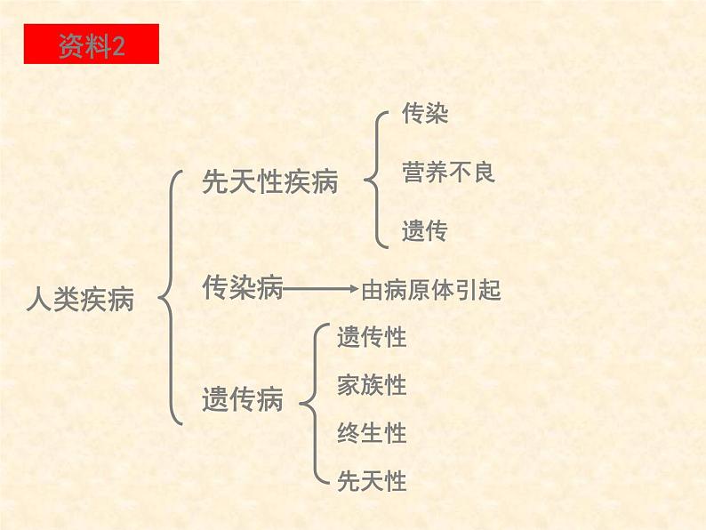 高中人教版生物必修2教学课件:5.3 人类遗传病2 Word版含答案03