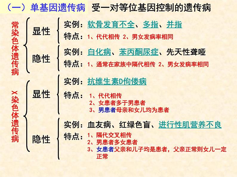 高中人教版生物必修2教学课件:5.3 人类遗传病2 Word版含答案05