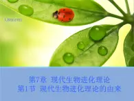 高中人教版生物必修2教学课件：7.1 现代生物进化理论的由来1 Word版含答案