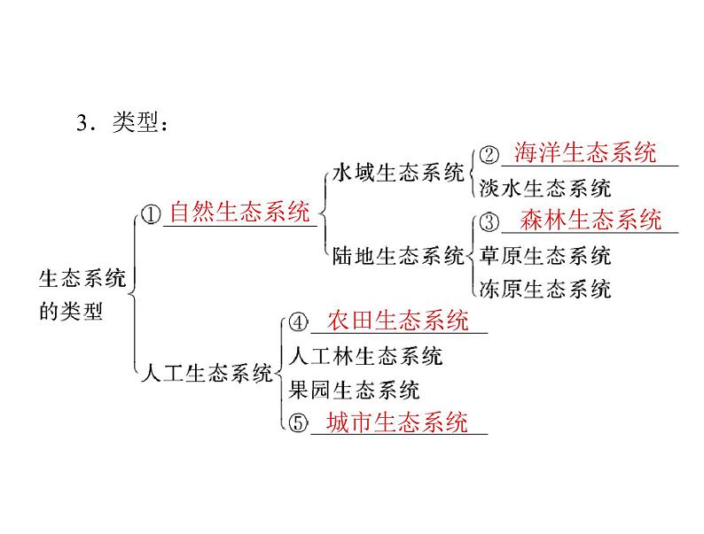 新人教版生物必修三:5.1《生态系统的结构》ppt课件(35页)03