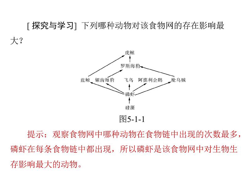 新人教版生物必修三:5.1《生态系统的结构》ppt课件(35页)08