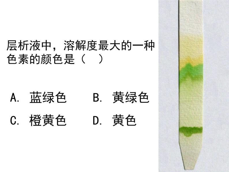 人教版高一生物必修1课件：5.4.3光合作用原理应用02