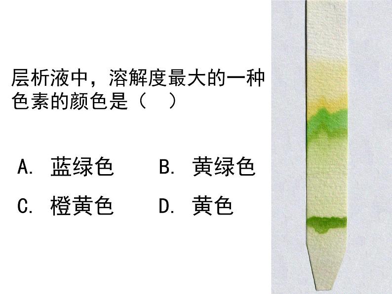 人教版高一生物必修1课件:5.4.3光合作用原理应用02