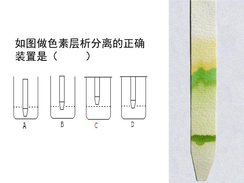 人教版高一生物必修1课件:5.4.3光合作用原理应用03