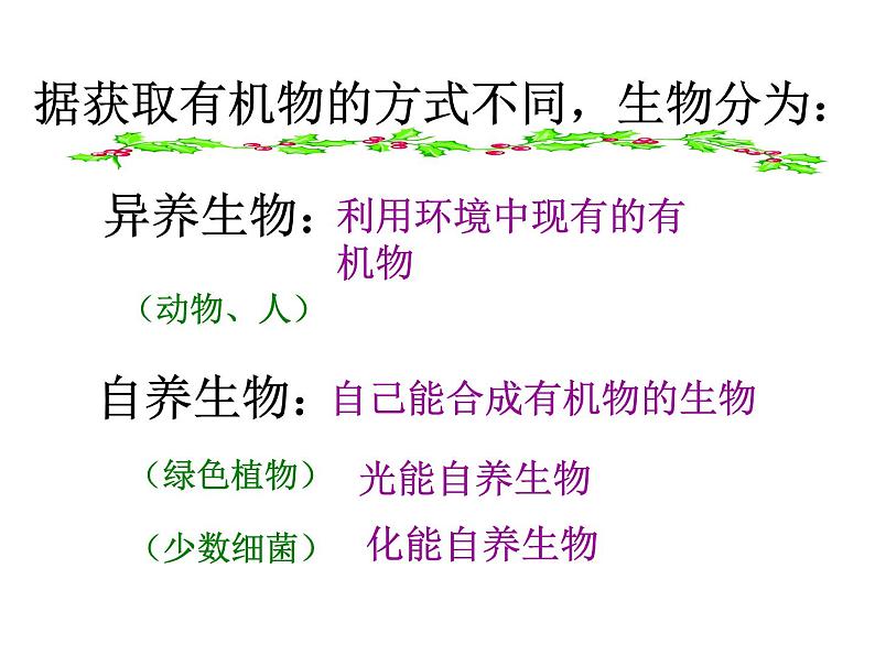 人教版高一生物必修1课件:5.4.3光合作用原理应用07