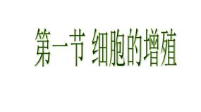 高中人教版 (新课标)第1节 细胞的增殖示范课ppt课件