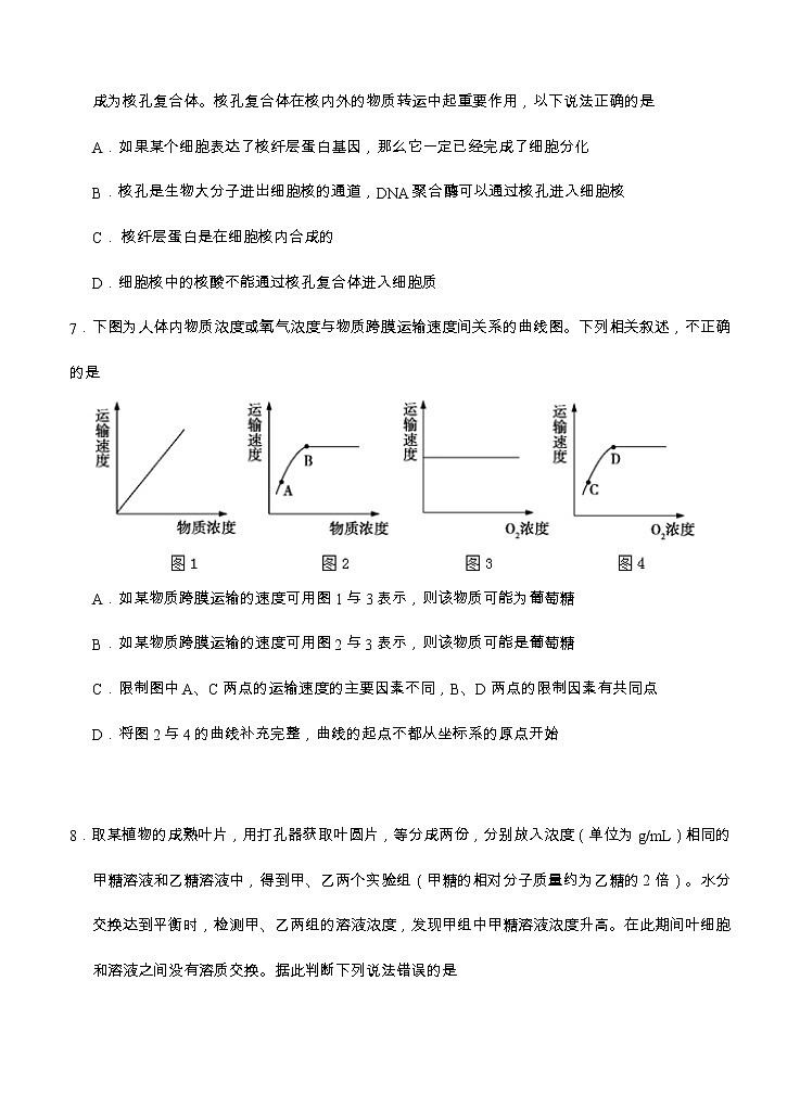 湖北省“荆、荆、襄、宜“四地七校联盟2021届高三上学期期中联考 生物(含答案) 试卷03