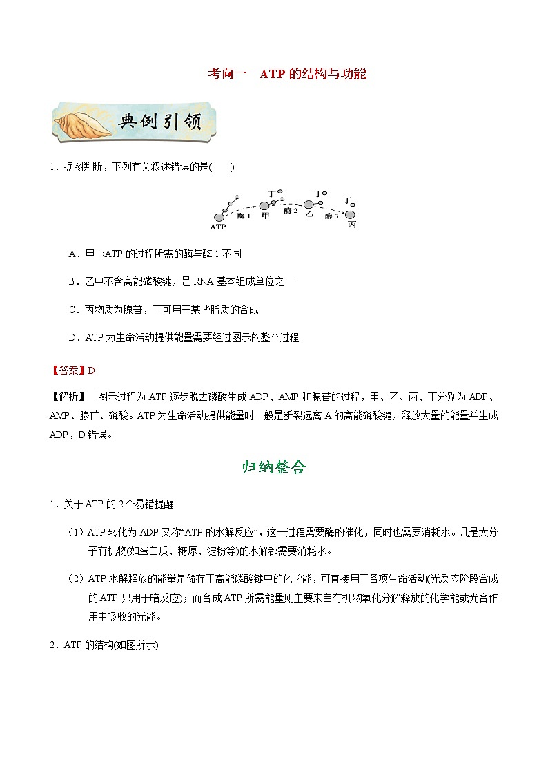 考点15 ATP-备战2021年高考生物一轮复习考点一遍过 学案02