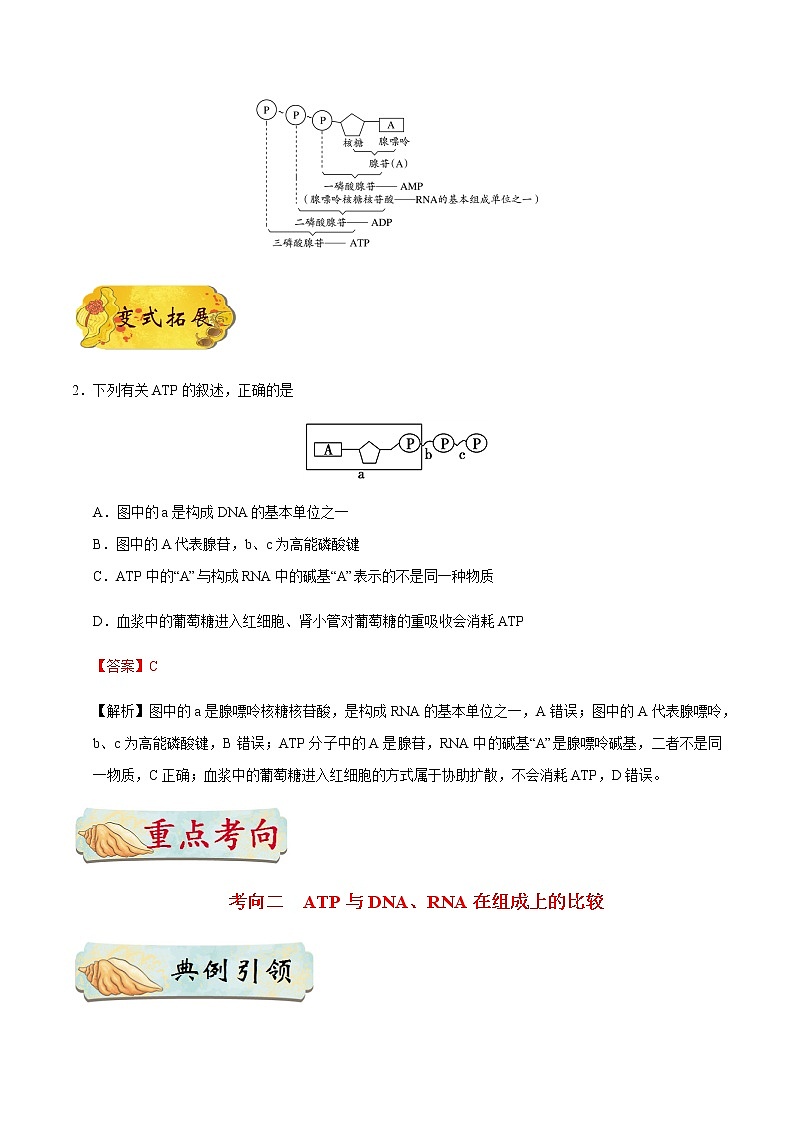 考点15 ATP-备战2021年高考生物一轮复习考点一遍过 学案03