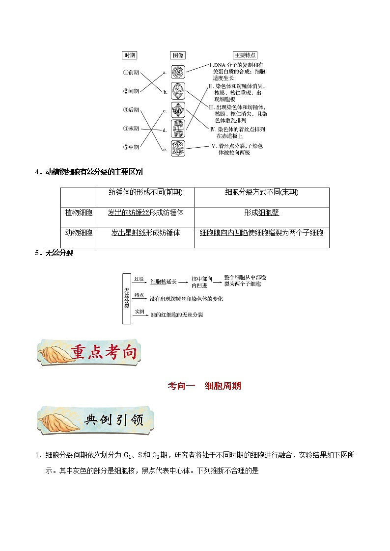 考点19 细胞的增殖-备战2021年高考生物一轮复习考点一遍过第2页
