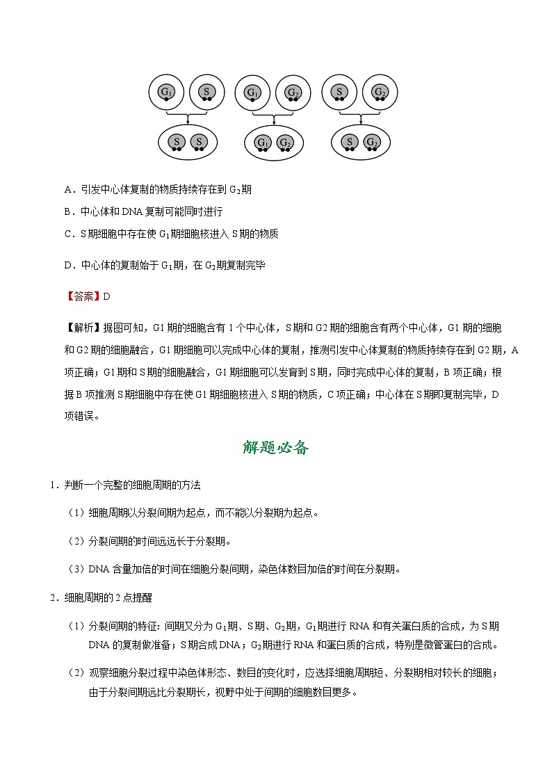 考点19 细胞的增殖-备战2021年高考生物一轮复习考点一遍过第3页