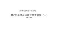 人教版(2019)高中生物必修2第1章 遺傳因子的發(fā)現(xiàn)【教學(xué)課件】第1節(jié) 孟德?tīng)柕耐愣闺s交實(shí)驗(yàn)(一) 第2課時(shí) 示范課件