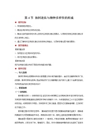 人教版 (2019)必修2《遺傳與進(jìn)化》第6章 生物的進(jìn)化第4節(jié) 協(xié)同進(jìn)化與生物多樣性的形成一等獎教學(xué)設(shè)計