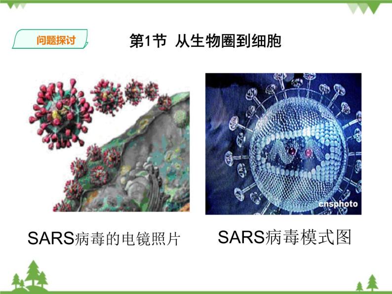 人教版生物必修一1.1《从生物圈到细胞》PPT课件+教学设计+同步练习04