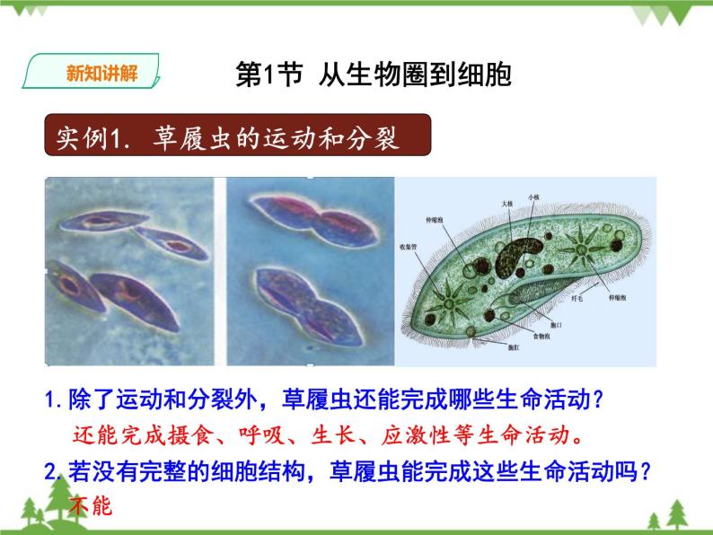 人教版生物必修一1.1《从生物圈到细胞》PPT课件+教学设计+同步练习08