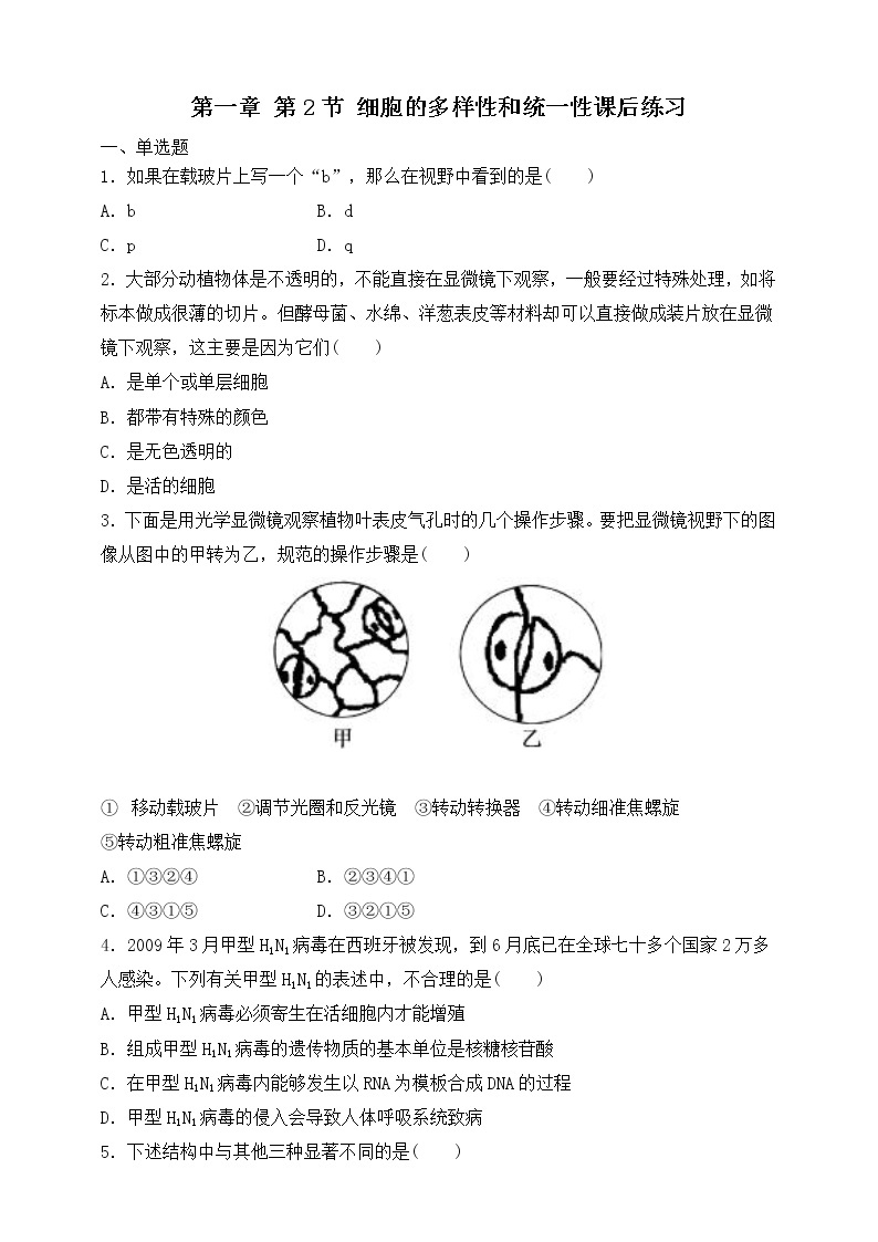 人教版生物必修一1.2《细胞的多样性与统一性》第2课时PPT课件+ 教学设计 +同步练习01