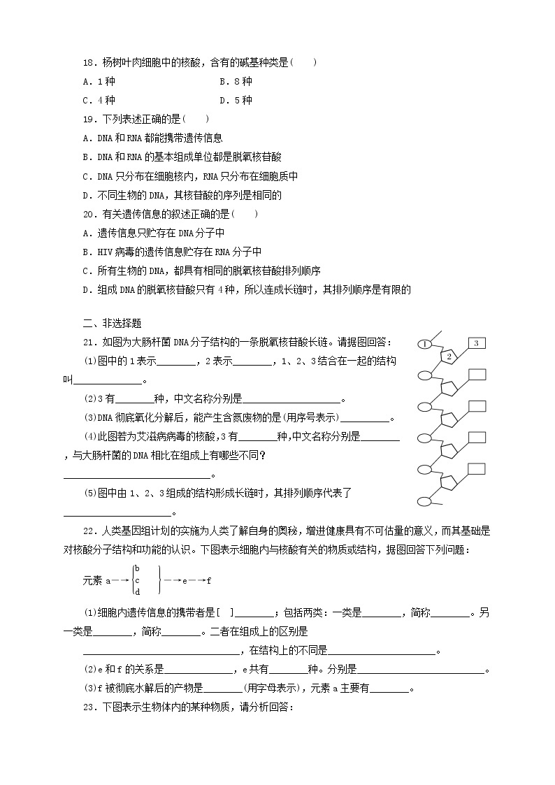 人教版生物必修一2.3《遗传信息的携带者-核酸》PPT课件+教学设计+同步练习03