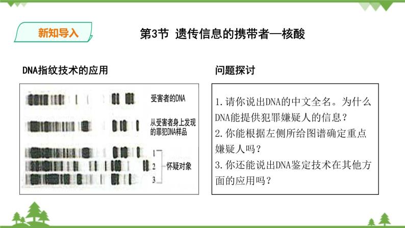 人教版生物必修一2.3《遗传信息的携带者-核酸》PPT课件+教学设计+同步练习03