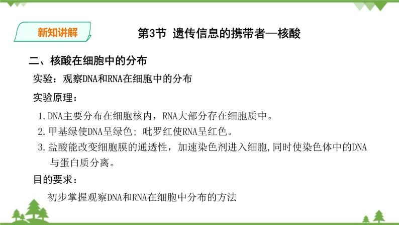 人教版生物必修一2.3《遗传信息的携带者-核酸》PPT课件+教学设计+同步练习05