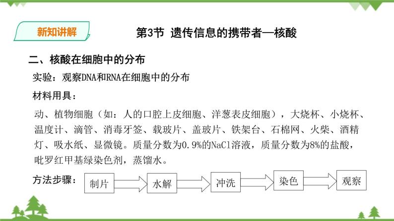 人教版生物必修一2.3《遗传信息的携带者-核酸》PPT课件+教学设计+同步练习06