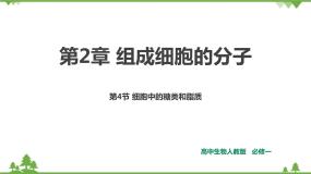 人教版生物必修一2.4《细胞中的糖类和脂质》PPT课件+教学设计+同步练习