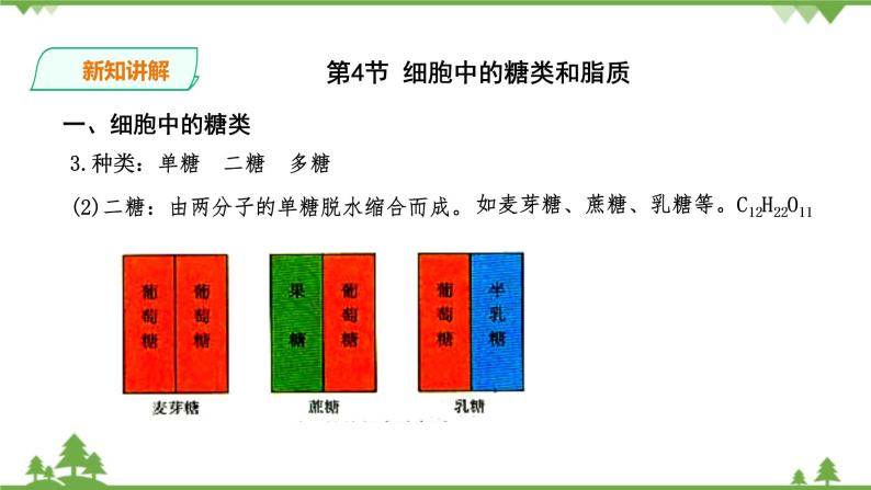 人教版生物必修一2.4《细胞中的糖类和脂质》PPT课件+教学设计+同步练习05