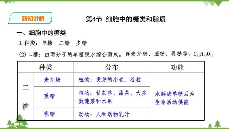 人教版生物必修一2.4《细胞中的糖类和脂质》PPT课件+教学设计+同步练习06